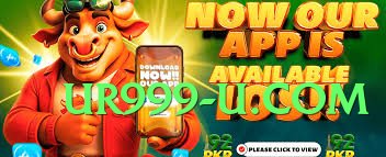 pakjeto v3.1.0 PK Screenshot 3